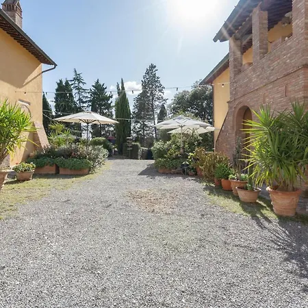 Borghigiana *